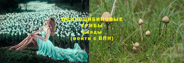 a pvp Арсеньев